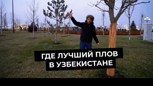 Новый Узбекистан: выставка урн и самое важное дерево