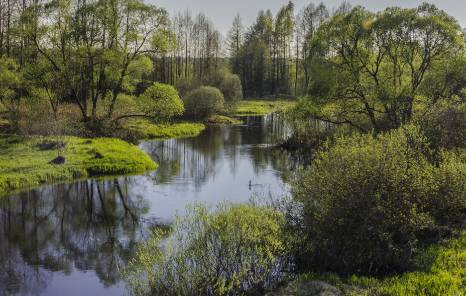 Река Брынь. Фото из открытых источников