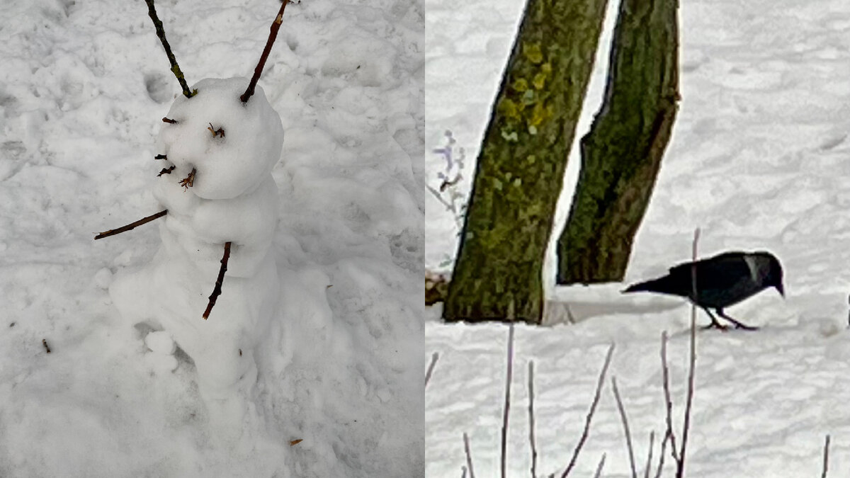 На прогулке