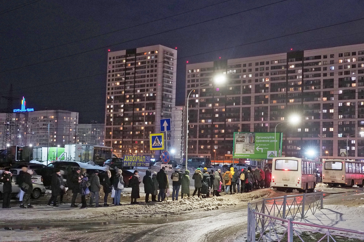 Очередь у станции метро «Девяткино»