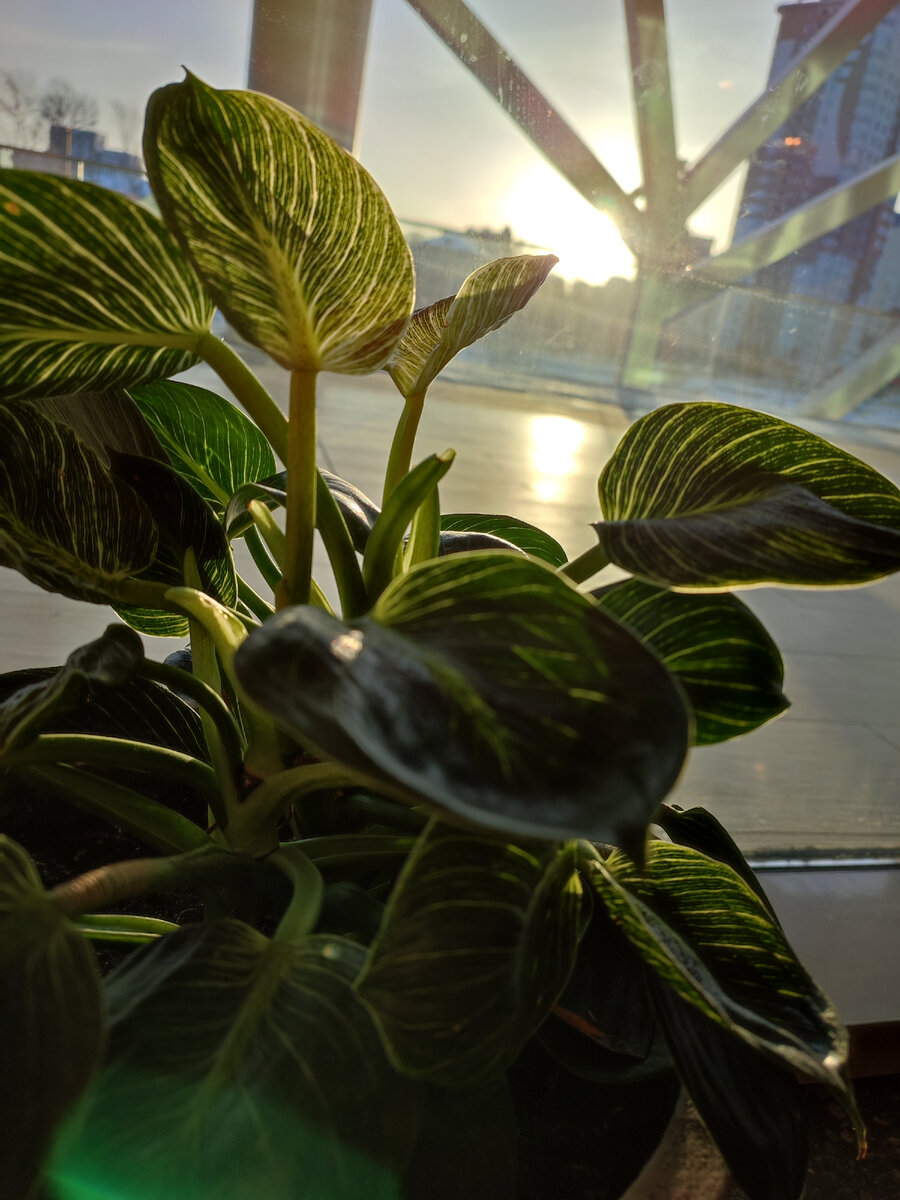 Всё будет чисто, красиво и уютно! Я это точно знаю... 