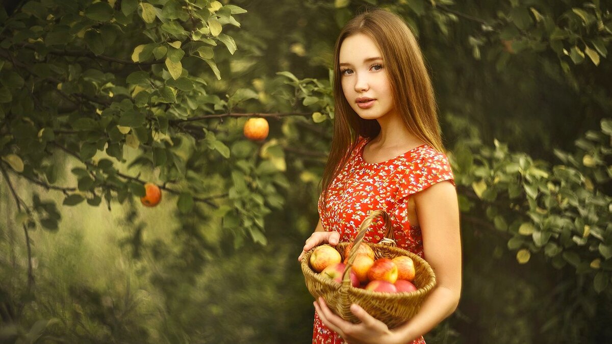 Бизнес на землях сельскохозяйственного назначения: как и на чём  зарабатывать | Земля для туризма | Дзен