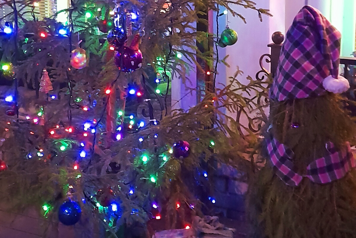 Фото автора