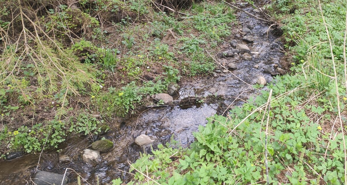 Ручей в Скоропусково бойко журчит на перекатах, словно горная речка, скоро спускается с горы.