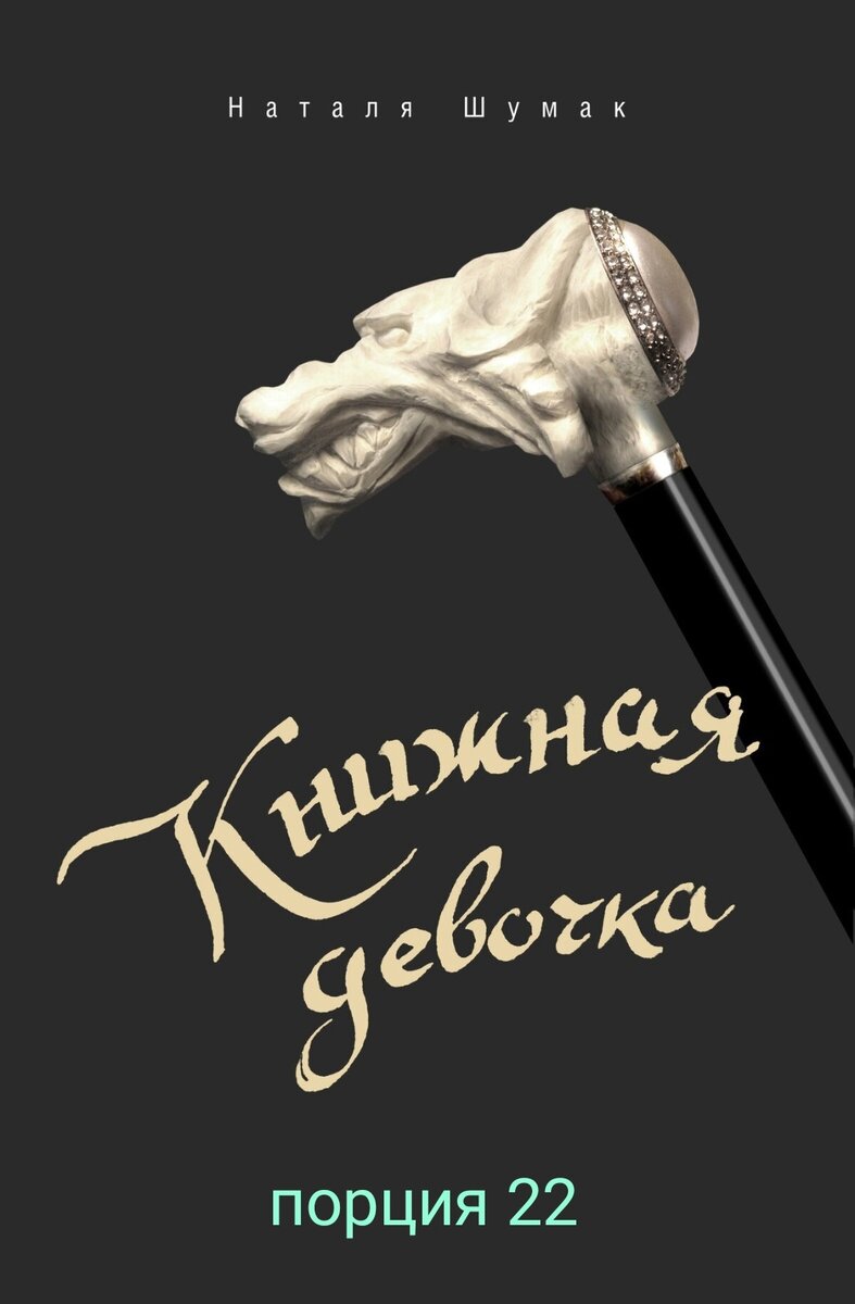 За обложки серии и романа сердечно благодарю Сергея Пронина