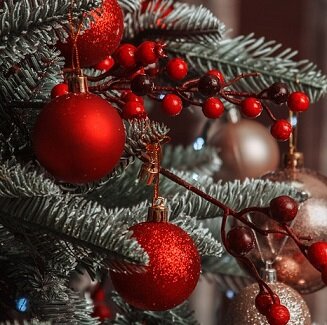 Изображение из открытого источника. Pixabay