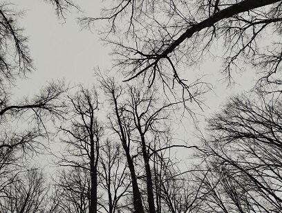 Фотография из личного архива автора