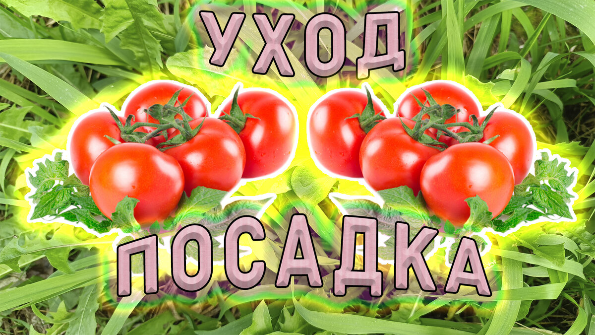 Фото автора. Захотел и сделал.