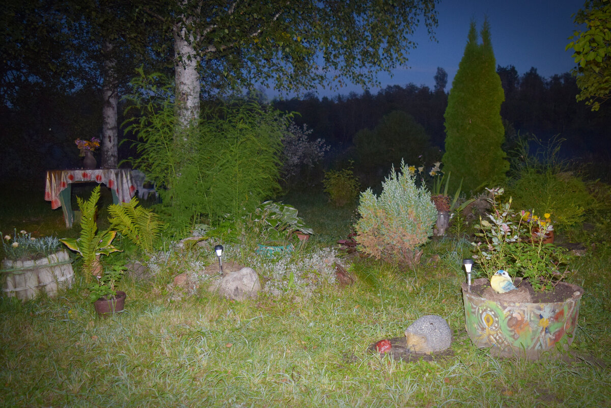 Дизайн ландшафта везде создан Лией.