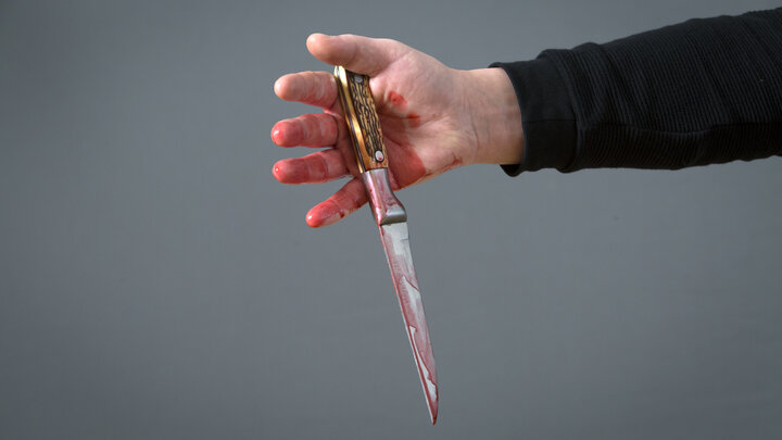 © NIKOLAY GYNGAZOV SOURCE: GLOBAL LOOK PRESS/GLOBALLOOKPRESS