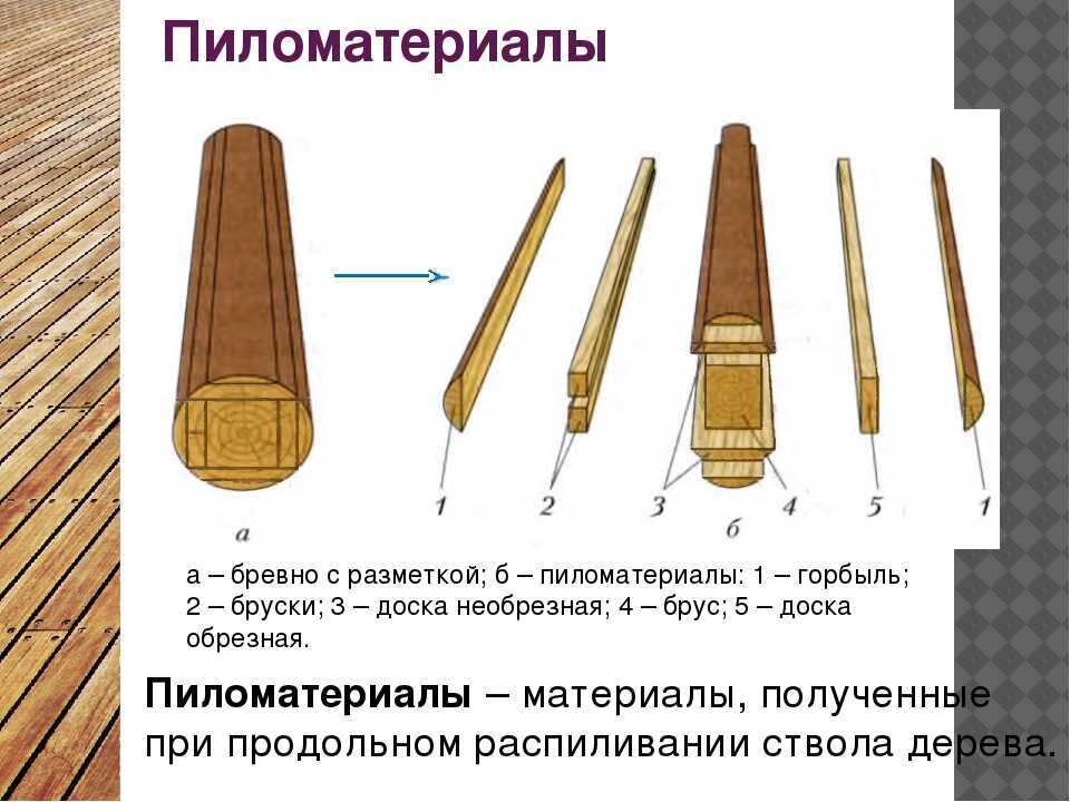 толщина дерева 6 букв