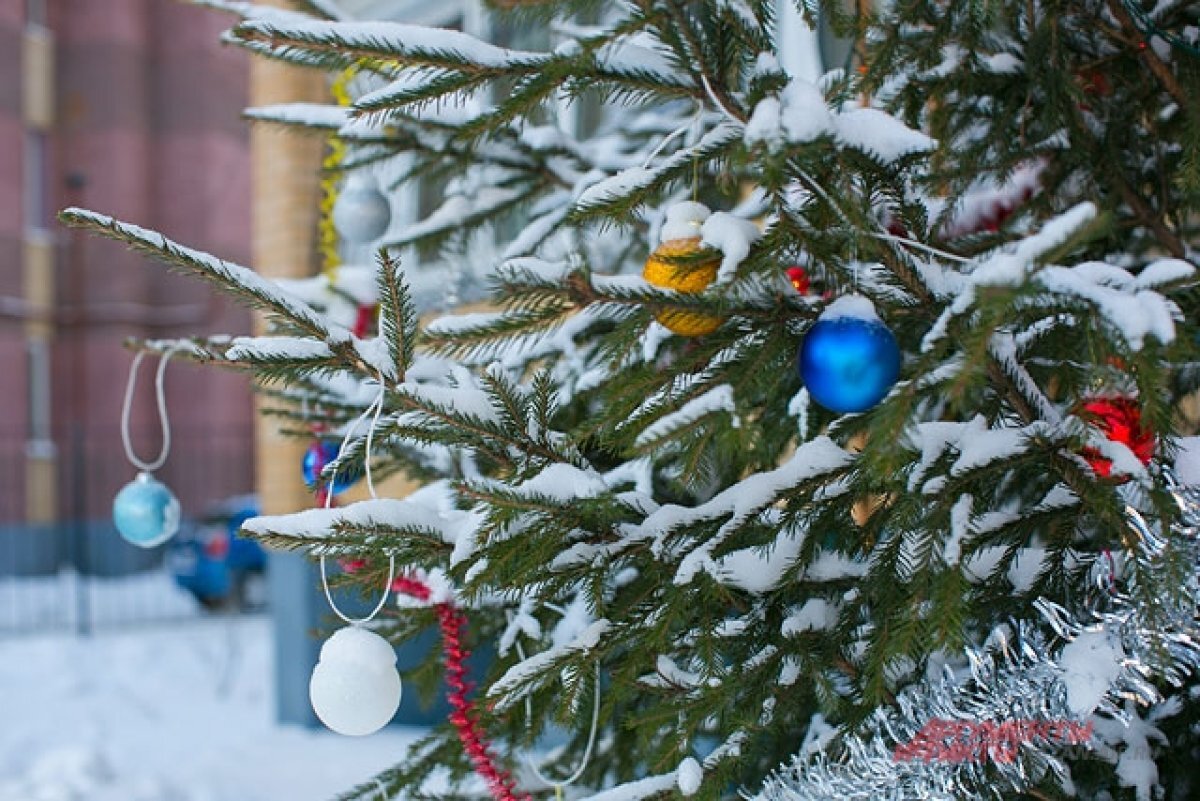    Чему учит казанское «СОлНЦе»?