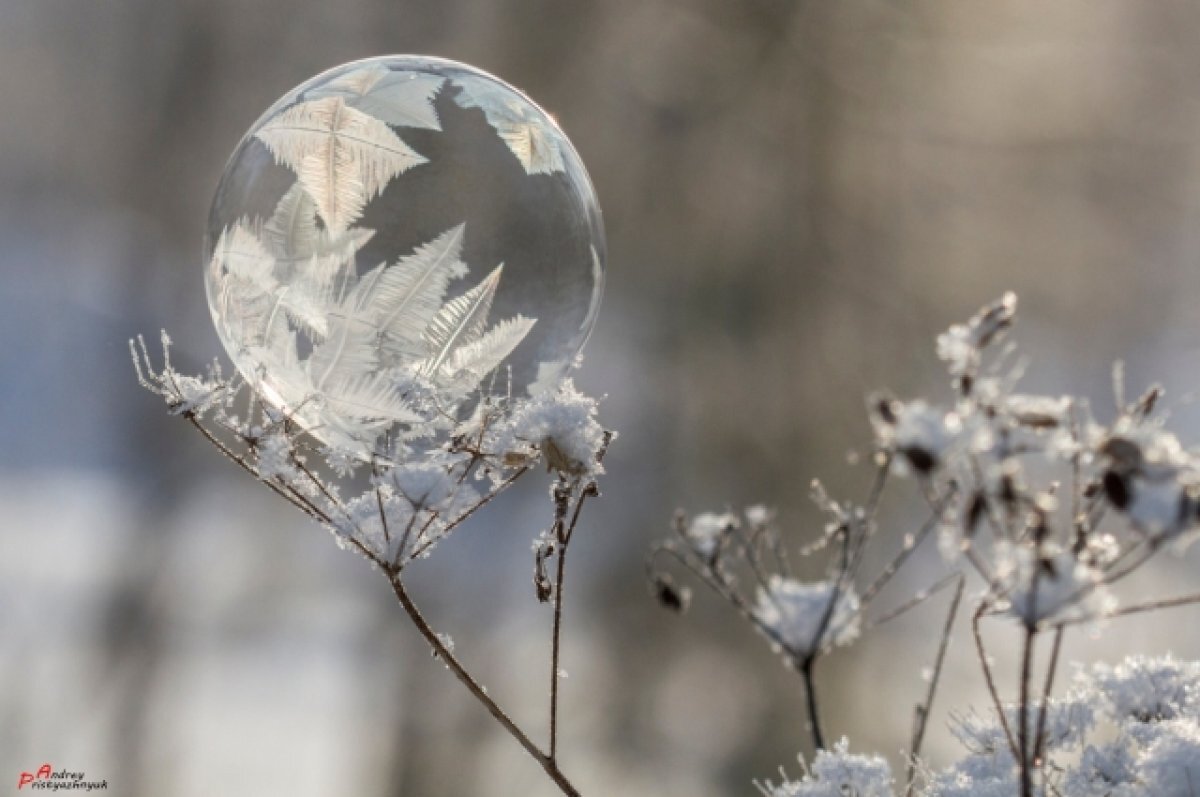    Фотограф из Новосибирска снимает мыльные пузыри на морозе