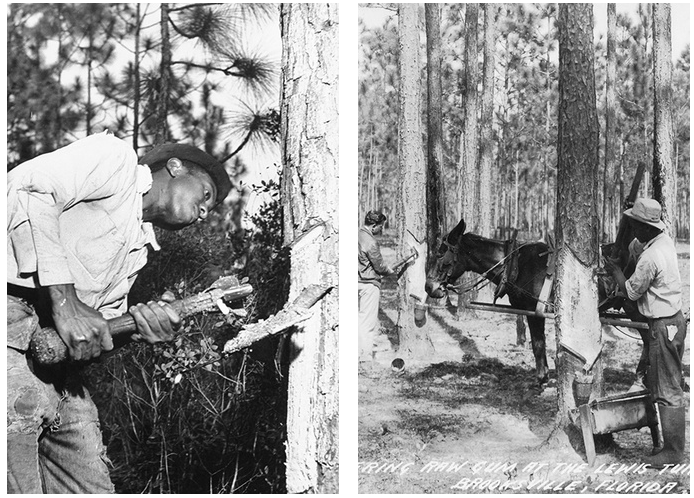 Источник: https://www.marieclaire.ru/stil-zjizny/kto-pridumal-jvachku-istoriya-bubble-gum-s-drevnih-vremen-do-nashih-dney/