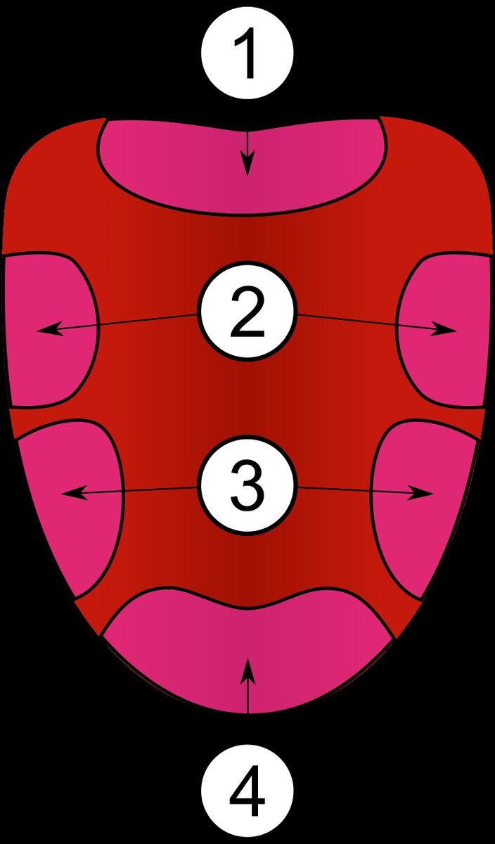 9 ложных вещей, в которые все верили еще несколько десятилетий назад ...