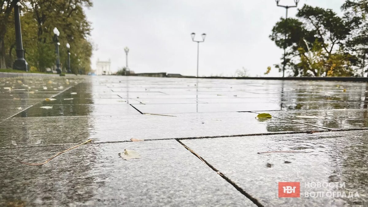     Волгоградцы устали от осенней погоды с грязью и слякотью. Но синоптики пока не радуют оптимистичными прогнозами.