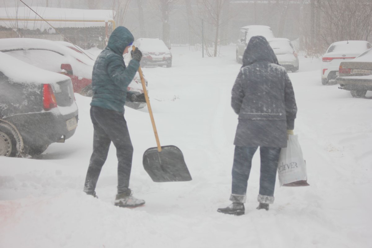    В тульской облгосжилинспекции объяснили причины плохой уборки дворов зимой