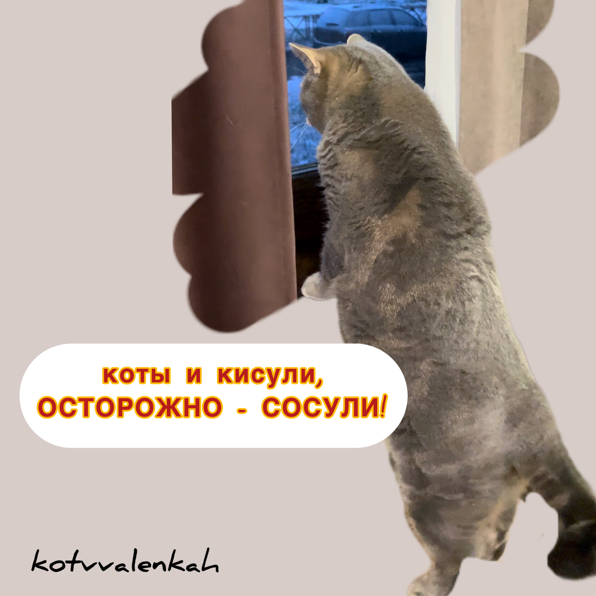 Мем про субботу