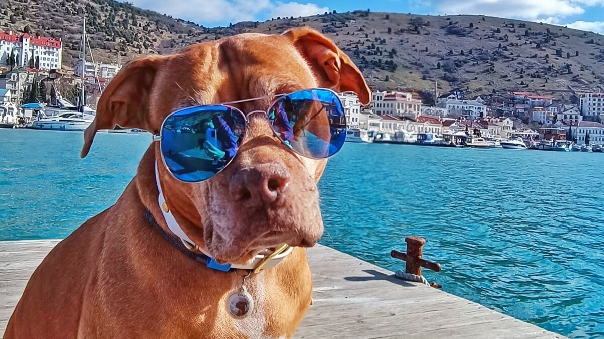 Фото на камерофон во время прогулки по набережной