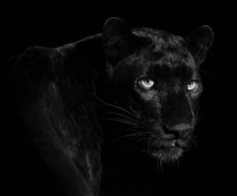    Первое место — снимок Ларса Бойскера, Германия / © One Eyeland Photography Awards 2023