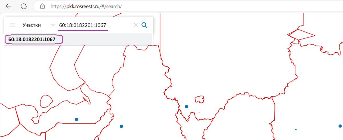 Источник: https://pkk.rosreestr.ru/