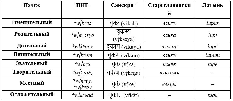 Os склонение латынь Shtampik.com