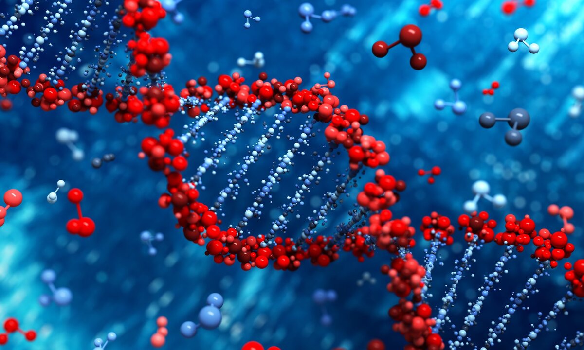 ДНК имеет сознание и "включает" рождение новых кровяных клеток