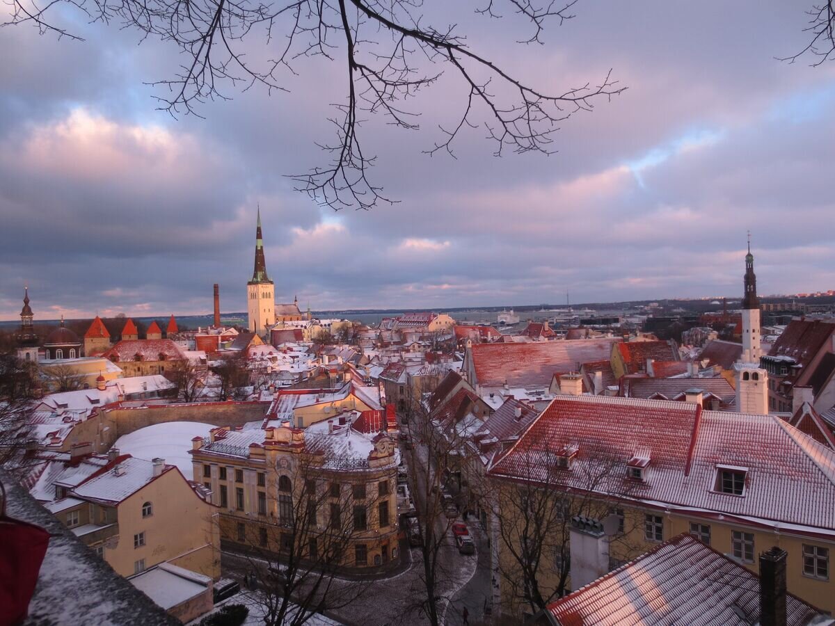   Таллин, вид на старый город со смотровой площадки.© РИА Новости / Ольга Солдатенкова