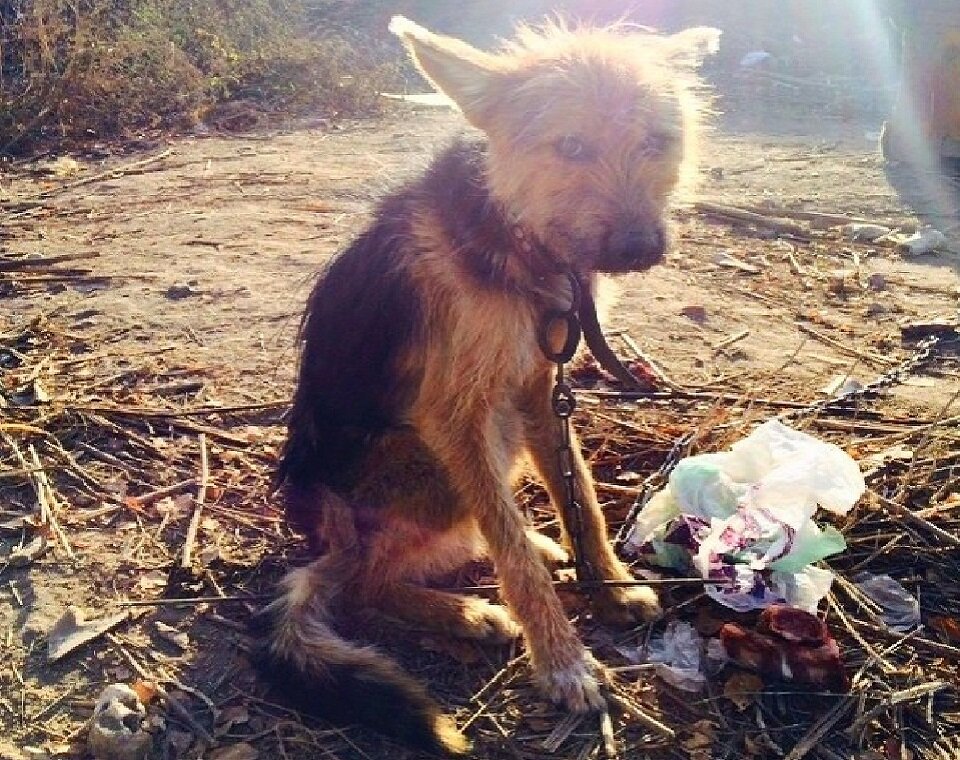 Без воды, еды и надежды…