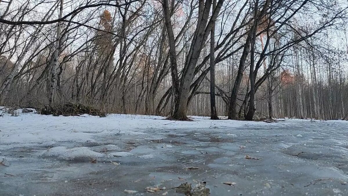     Особенно осторожными следует быть на дорогах.