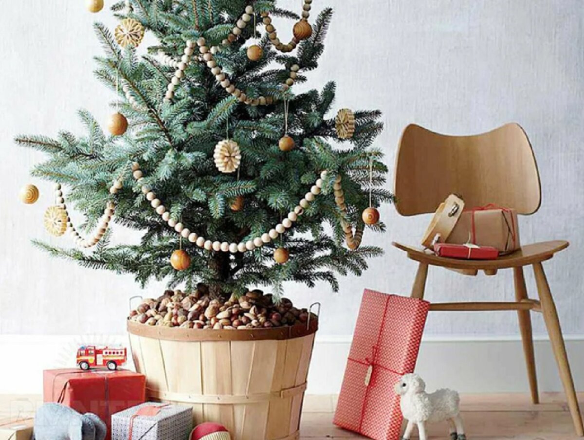 Фото: www.birebiregitim.com.tr