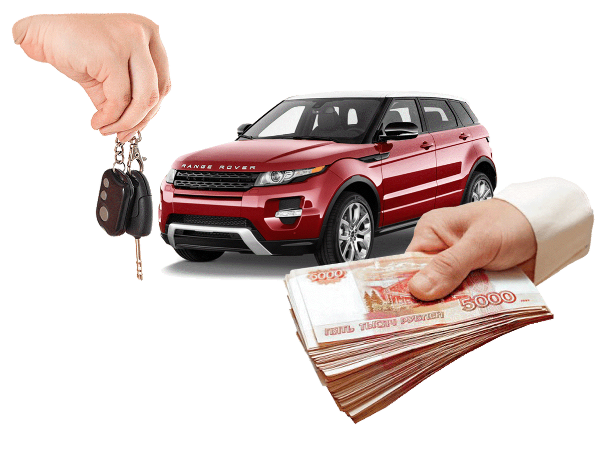 Взято из открытых источников