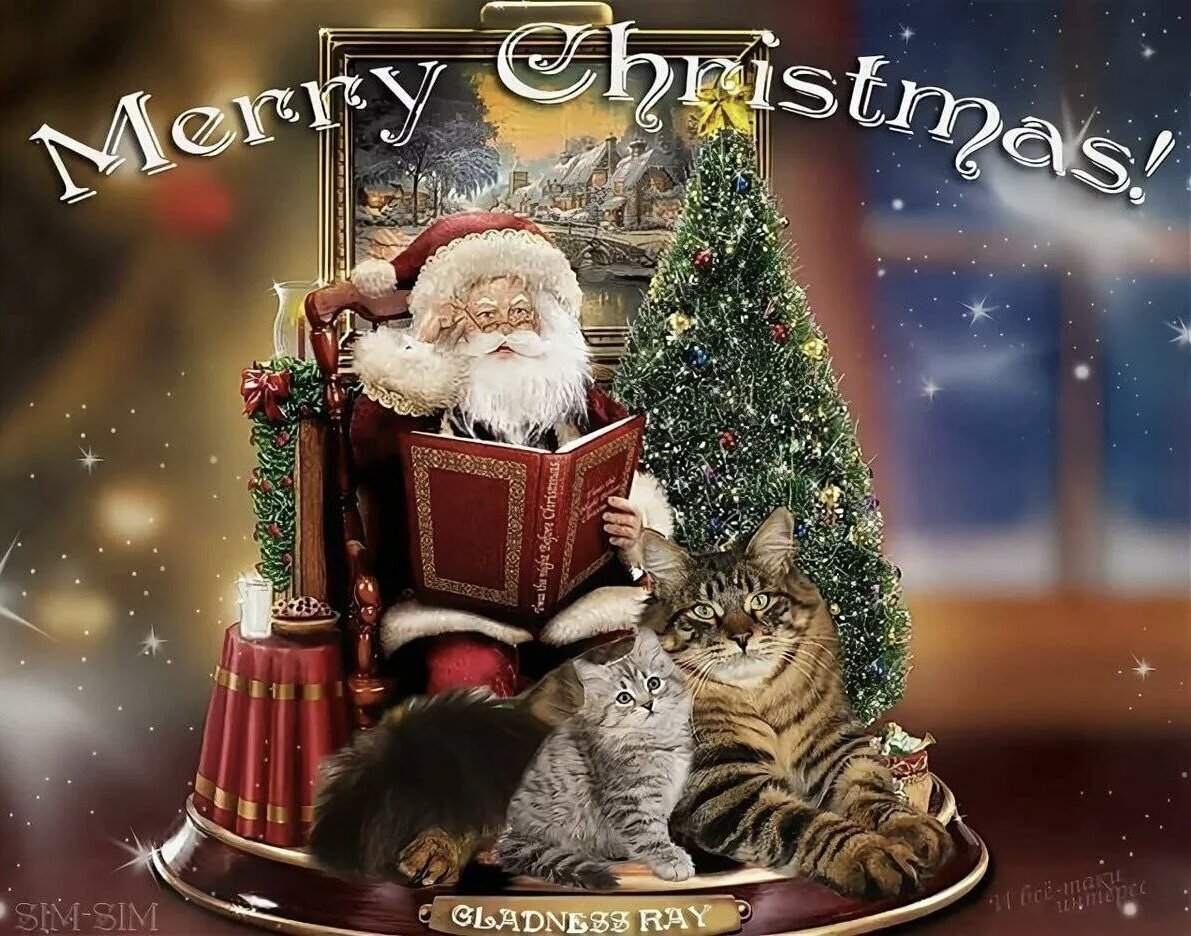 Фото взято из открытых источников