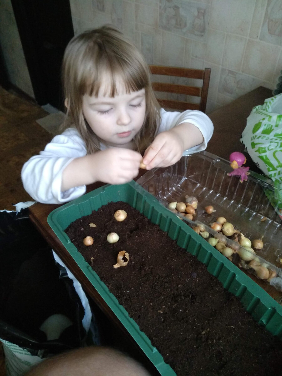 Как сажать рассаду, я знал так как помогал маме в этом деле. И решил передать опыт Варюхе, ее это дело очень увлекло.