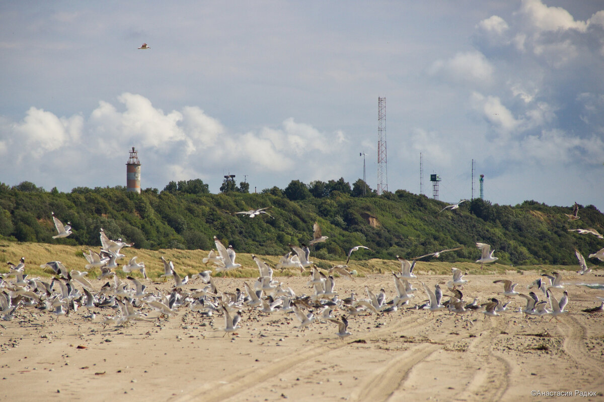 Маяк Обзорный