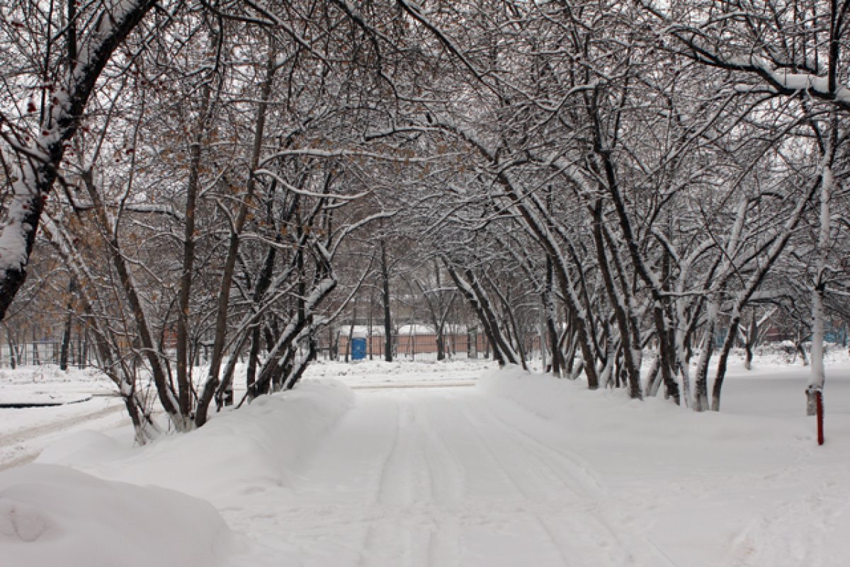    Синоптики озвучили прогноз погоды в Новосибирске на январь 2024 года