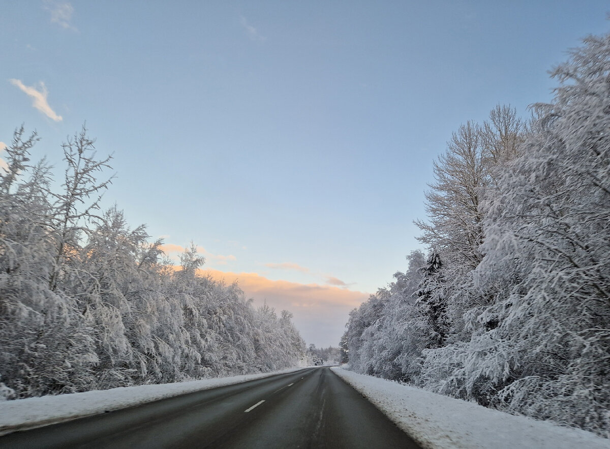 По дороге. 02.12.2023 г.