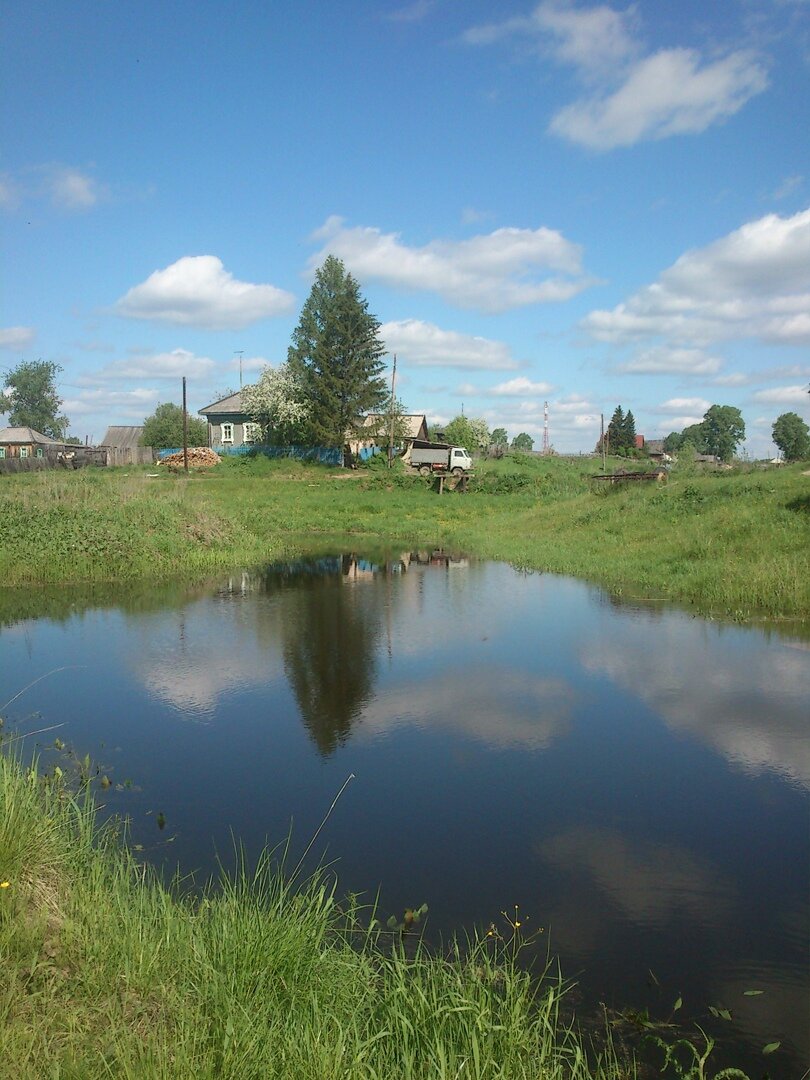 Таежка 8 дзен. Таежка 8 дзен. Запеченная свекла сколько сахара. Бочонок из можжевельника. Таежка 8 дзен.