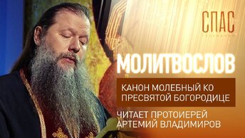 КАНОН МОЛЕБНЫЙ КО ПРЕСВЯТОЙ БОГОРОДИЦЕ. ЧИТАЕТ ПРОТОИЕРЕЙ АРТЕМИЙ ВЛАДИМИРОВ