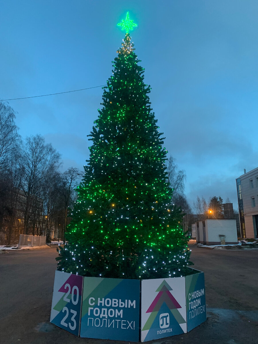 Елка в Политехе Петра Великого. Фото автора 