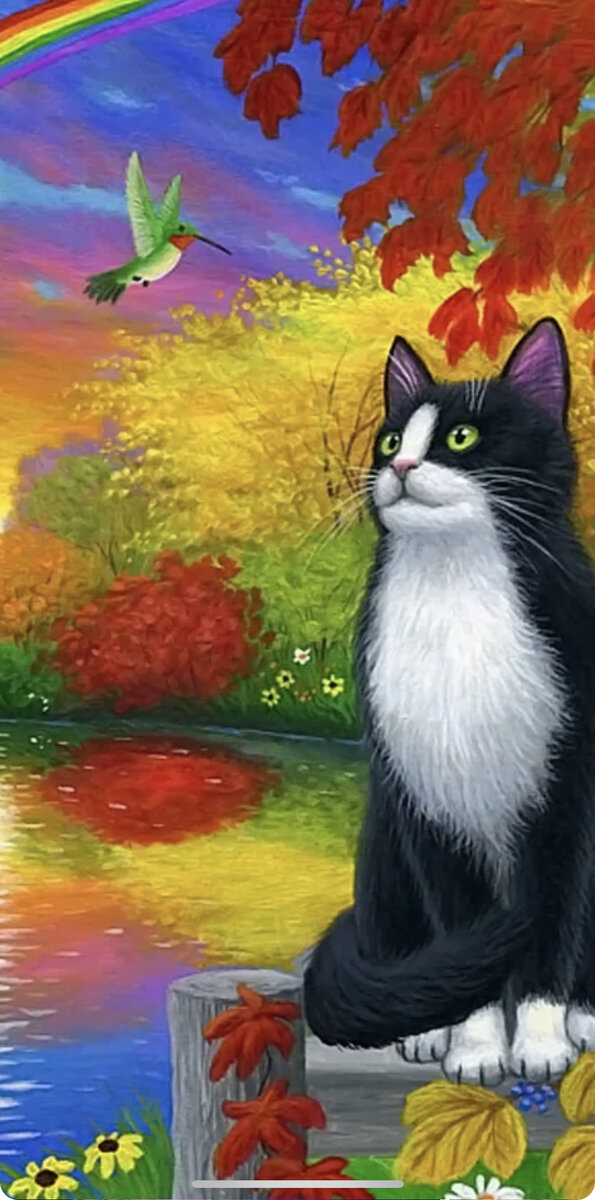 Картинка из интернета 