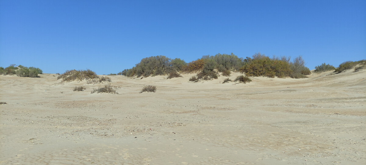 Песчаные дюны