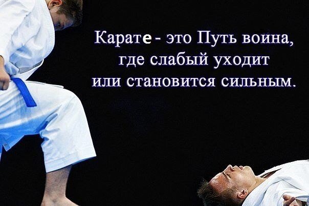 Картинка из интернета