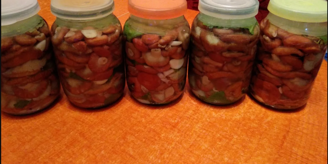 О волнушках замолвлю я слово