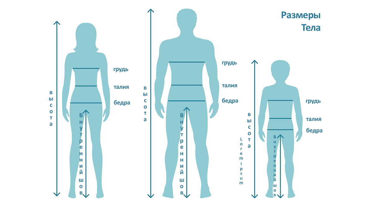 Размеры тела