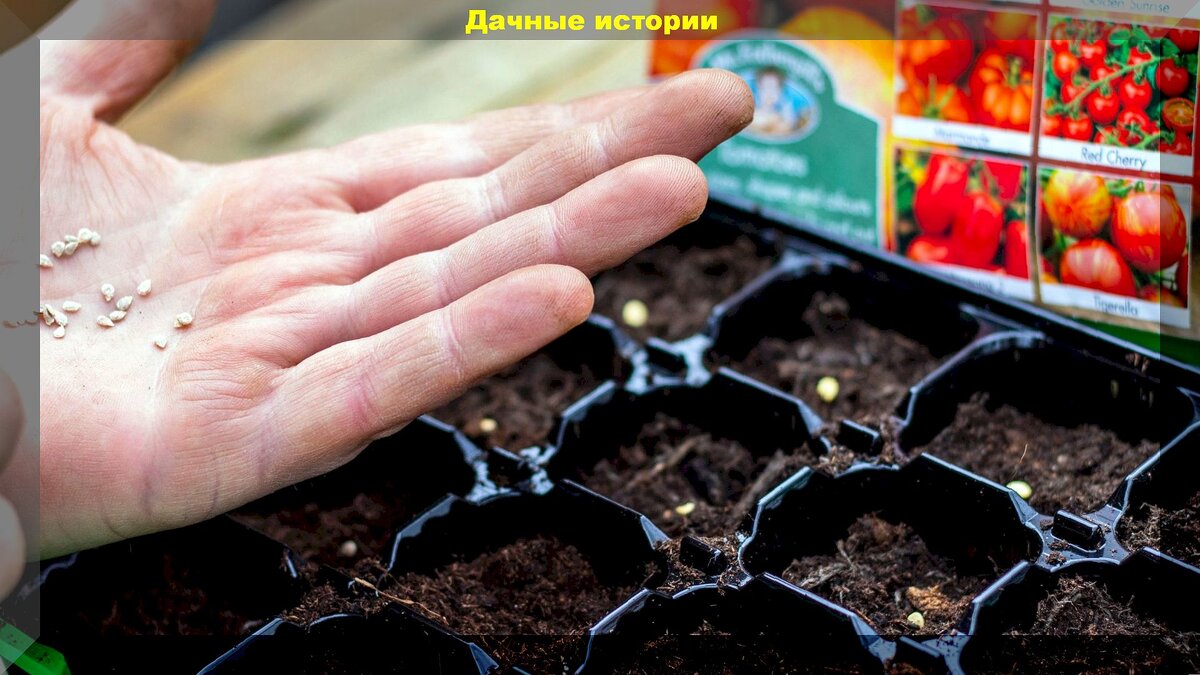 https://vk.com/photo-159774511_457263273