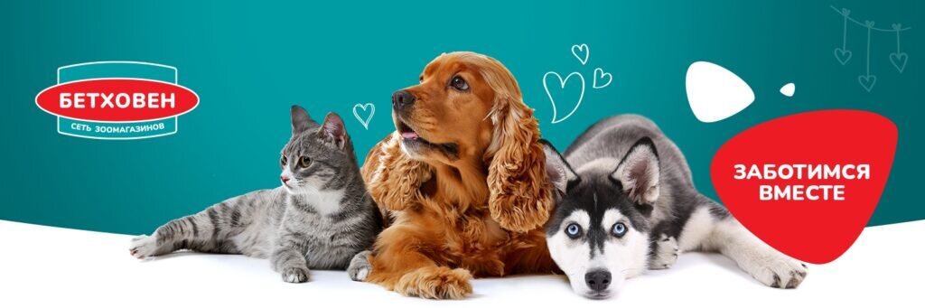 Промокоды Бетховен