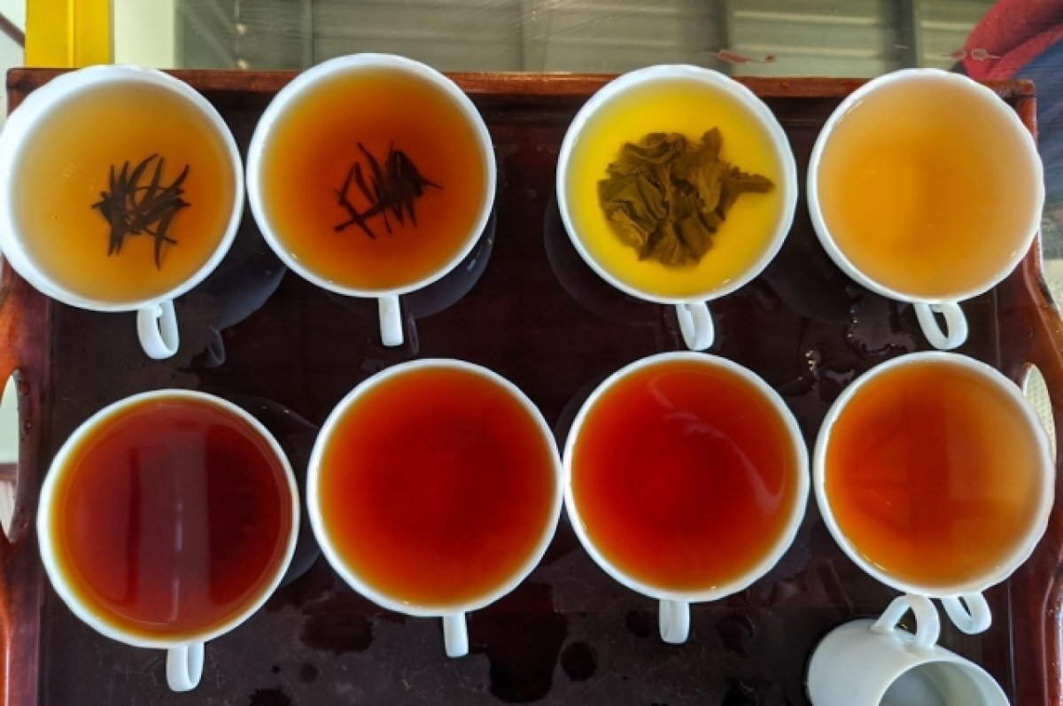    Роспотребнадзор Забайкалья рассказал, как выбирать чай в пакетиках