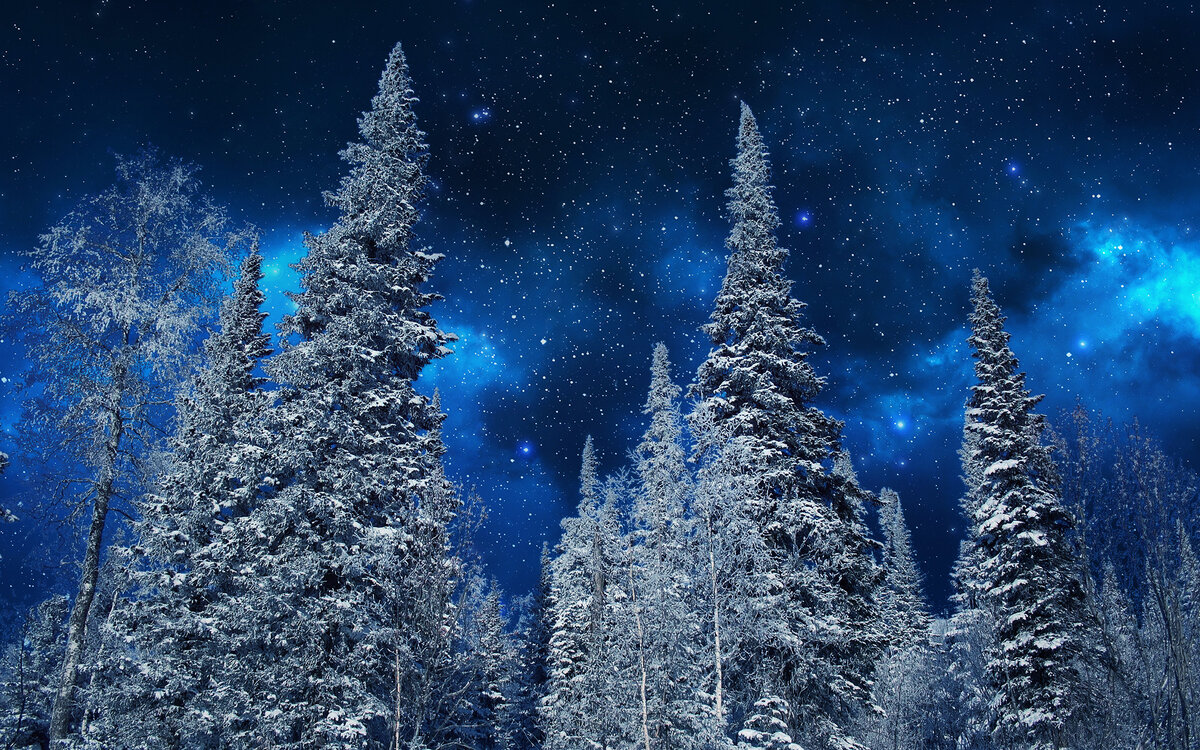 Один из важнейших дней в году - это 21-24 декабря. 21 декабря в 17:57 началось Зимнее Солнцестояние - астрономический Новый Год (Новолетие). Сильно это время не праздновали.