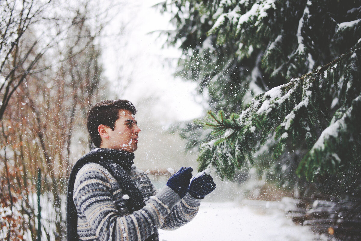 яндекс картинка